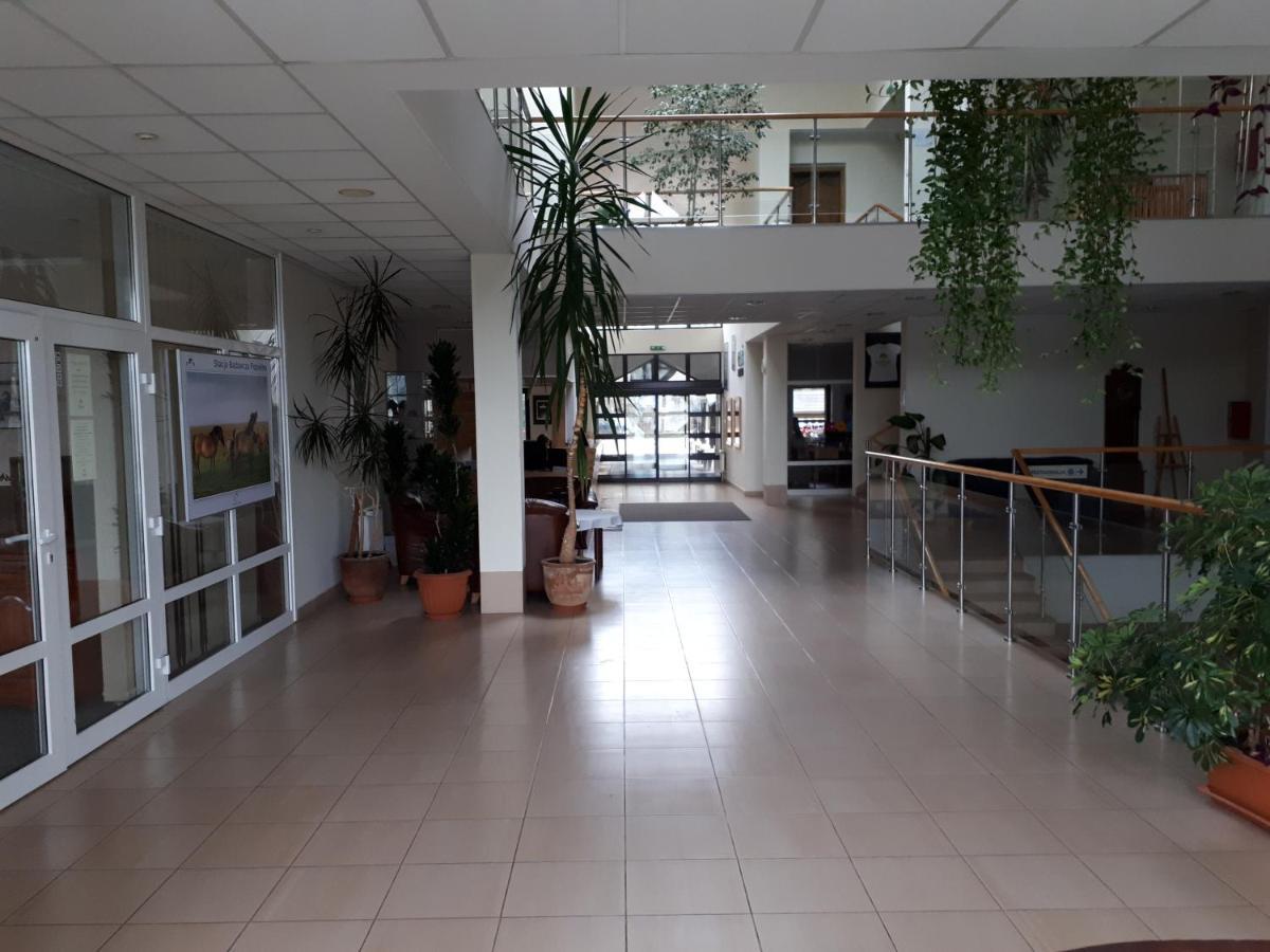Pan Dom Pracy Tworczej W Wierzbie Wierzba Dış mekan fotoğraf